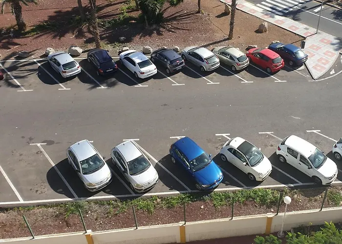 Orlando Sea View By Altamarhomes Lejlighed